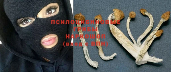 а пвп мука Алзамай