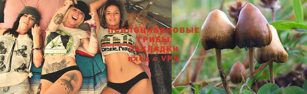 MESCALINE Надым